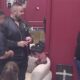 NEOČEKIVANI SUSRET U HOTELU: Filip Car i Stefan Karić razmenili šale pred ekipom (VIDEO)