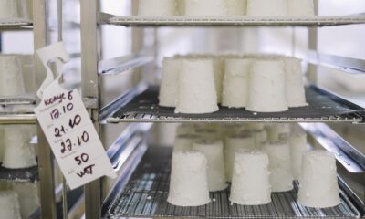 Mlekara Ub otkupljuje 75 miliona litara mleka godišnje kroz saradnju sa Lidl Srbija – otkup mleka Mlekara Ub