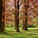 Evropski dani baštine u Pompeji: Program posvećen rimskoj istoriji – arheološki park Pompeja