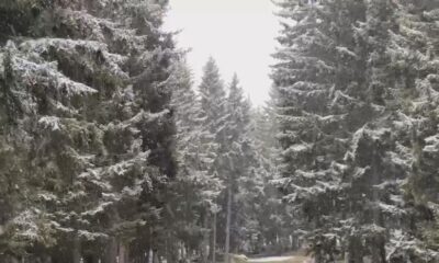 Golija pod snegom krajem septembra: Pahulje prekrile planinske vrhove, temperature niske – sneg na Goliji