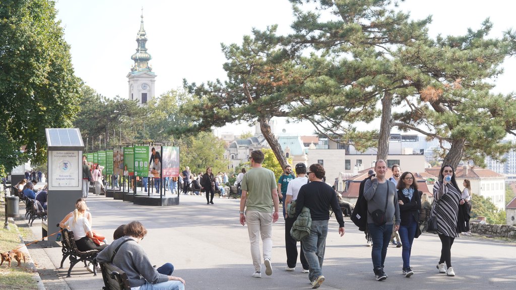 Miholjsko leto stiže ranije u Srbiju: Evo šta donosi prognoza do 5. oktobra – miholjsko leto u Srbiji