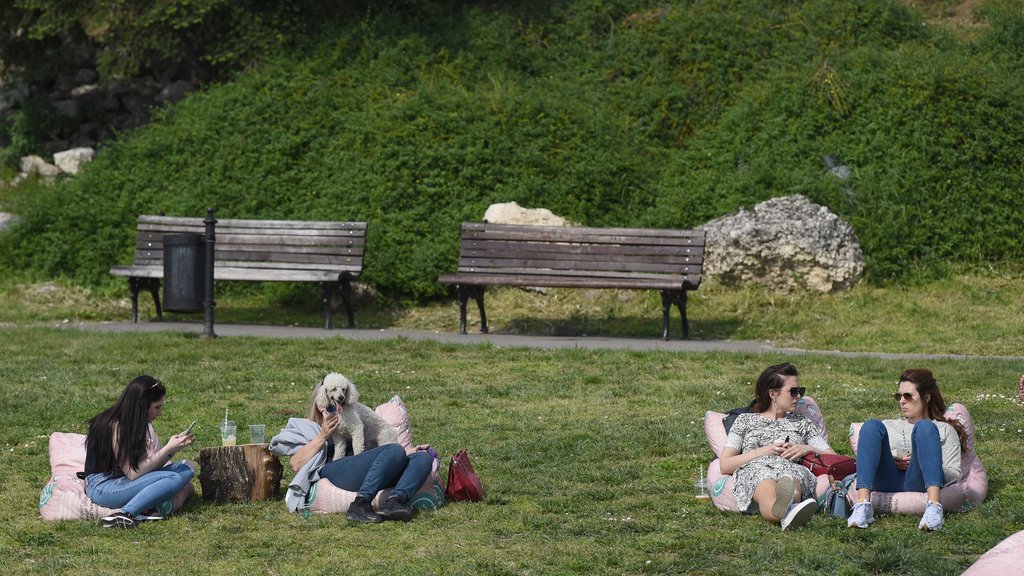 Vraća se lepo vreme u Srbiji: Posle svežeg jutra, temperature rastu do 25 stepeni