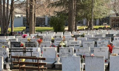 Neobičan spomenik u srpskom selu: Svinjokolj zauvek ostao na sredini između supružnika – spomenik kod Smederevske Palanke