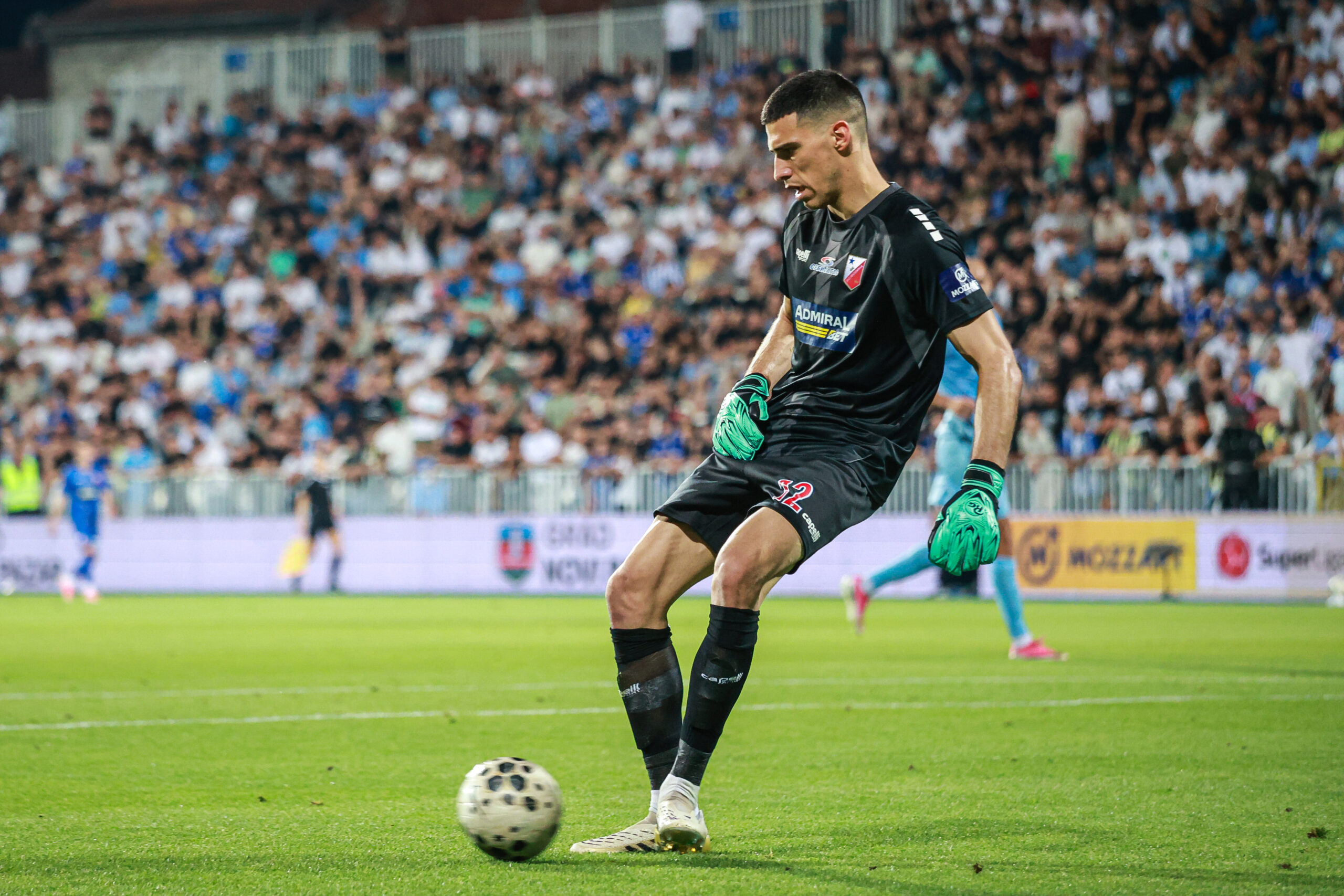 Veljko Paunović pozvao Dragana Rosića među Orlove: Nova prilika pred Nemačku i Holandiju – Dragan Rosić poziv u reprezentaciju
