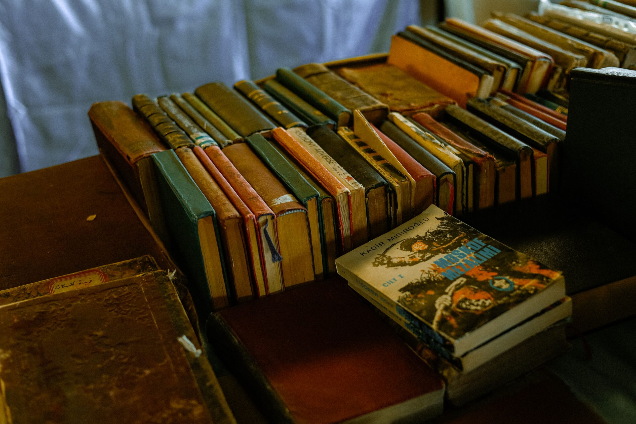 Izložba o Bori Stankoviću otvorena u Narodnoj biblioteci Srbije