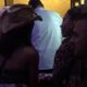 NEPRESTANA PITANJA I NAPETOST U RIJALITIJU: Đukić uporno želi odgovor o Caru, Aneli pozvala Lauru na suočavanje (VIDEO)