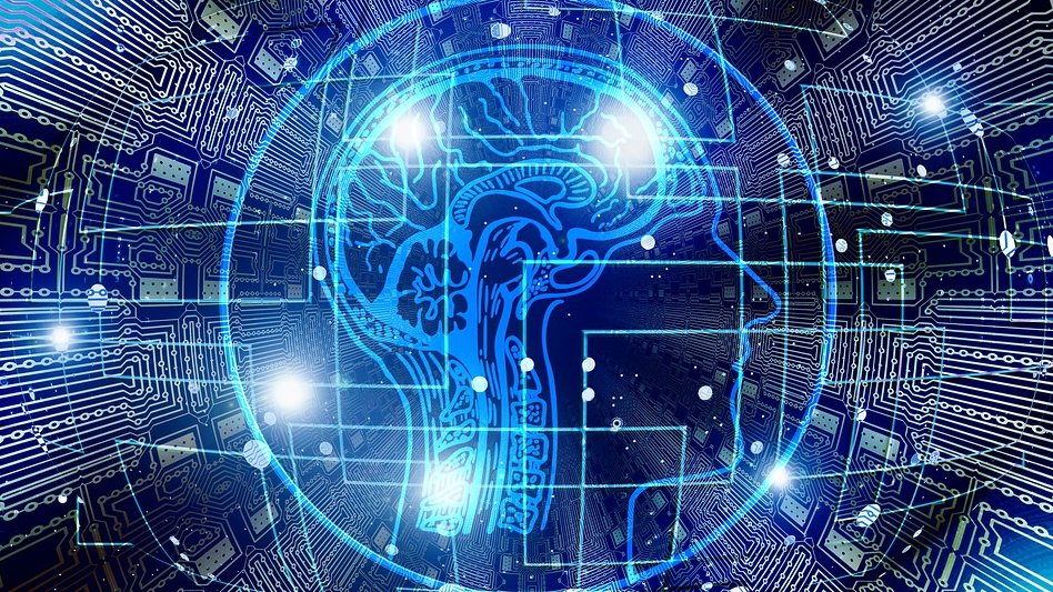 Roboti i AI digitalizuju 70 miliona primeraka za najveći online muzej prirode – digitalni muzej prirode