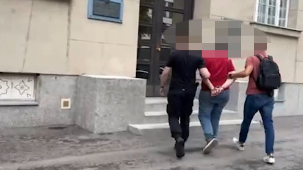 Uhapšeno pet online predatora: Detalji akcije i zaplena snimaka zlostavljanja dece – hapšenje online predatora
