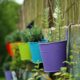 plant pot, multicoloured, nature, lavender, plant, flower wallpaper, pot, rainbow, coloured, flower background, colorful, beautiful flowers, flower, decoration