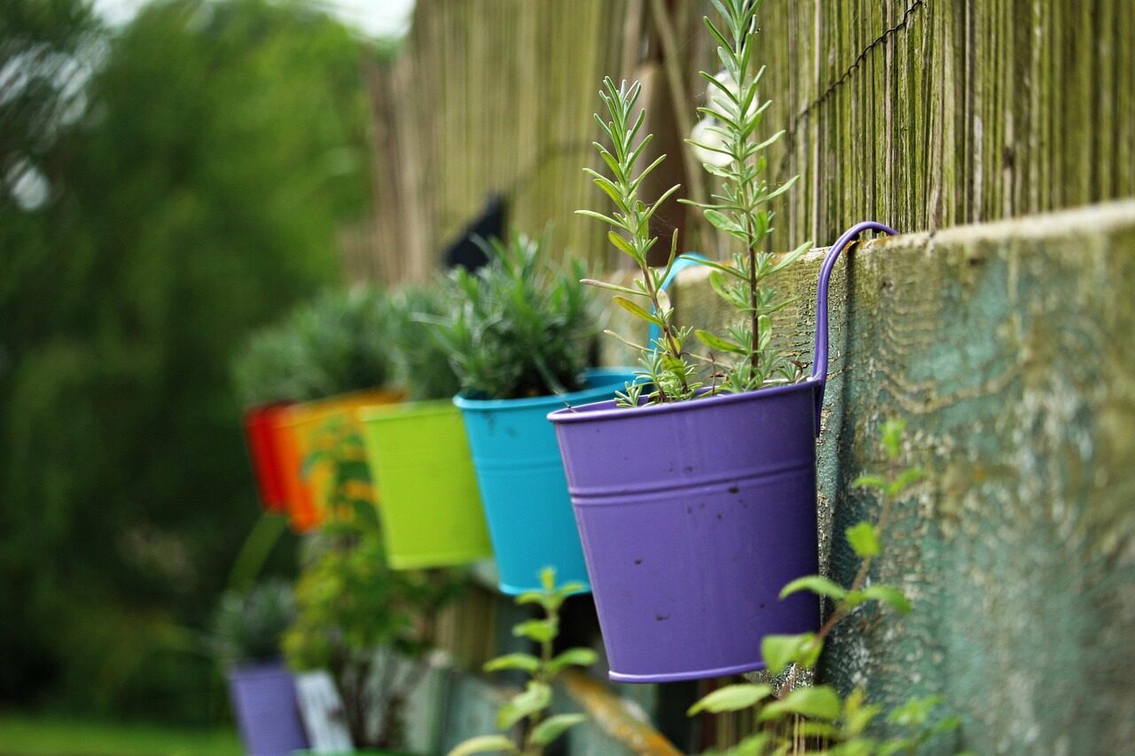 plant pot, multicoloured, nature, lavender, plant, flower wallpaper, pot, rainbow, coloured, flower background, colorful, beautiful flowers, flower, decoration