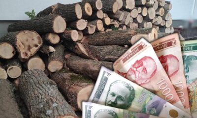 Koliko košta ogrev pred grejnu sezonu: Cene u gradovima i saveti stručnjaka – cene ogreva pred grejnu sezonu