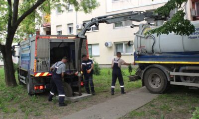 Kvar na vodovodu u Zemunu: Više naselja bez vode, radovi traju do večeras