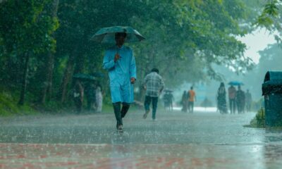 A man in blue walking under heavy rain with umbrella on a tree-lined path.