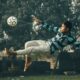 Kristijan Balov blista za Bugarsku: Gol pred evropske izazove Crvene zvezde