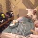 NEIZVESNOST NAKON NOĆNOG HAOSA: Aneli Ahmić i Filip Car razgovarali u rehabilitacionoj sobi, otkrivaju nova osećanja (VIDEO) – napad u Beogradu