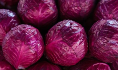Prirodna rešenja za olakšanje kašlja: Obloga od kupusa i meda