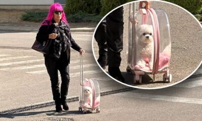 ZORICA BRUNCLIK UVEK IZNENADI NA SNIMANJU: Pevačica dovela psa u providnom rancu sa točkićima (VIDEO) – Pinkove zvezde