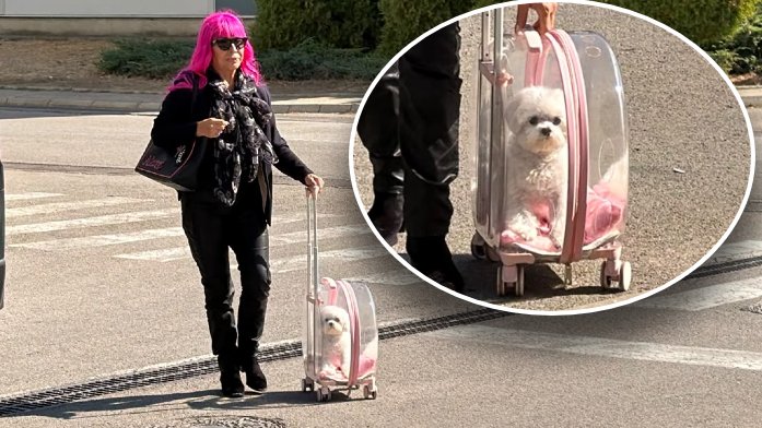 ZORICA BRUNCLIK UVEK IZNENADI NA SNIMANJU: Pevačica dovela psa u providnom rancu sa točkićima (VIDEO) – Pinkove zvezde