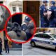 Veštaci otkrili motive zašto je Ognjen raskomadao telo Noe – raskomadano telo Noe Milivojev