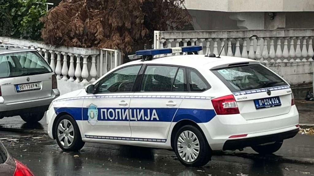 Beograđanka (24) privedena zbog proganjanja rukovodilaca MUP-a: Objavljivala podatke o porodicama – proganjanje rukovodilaca MUP-a