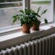 Potted indoor plants on a windowsill overlooking an outdoor scene.