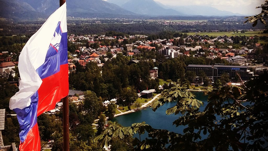 Referendumi u Sloveniji: Građani danas odlučuju o četiri važna pitanja