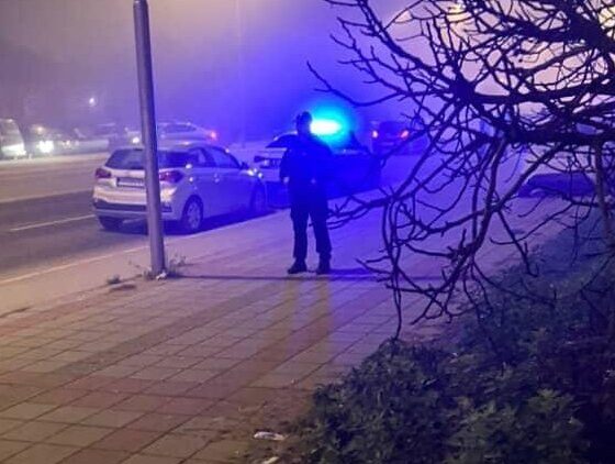 Sukob rođaka kod Kuršumlije: Svađa oko svinja završila tučom