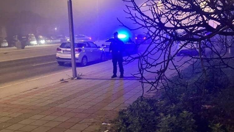 Sukob rođaka kod Kuršumlije: Svađa oko svinja završila tučom