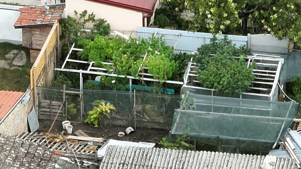 Policija otkrila narko-bazu kod Novog Sada: Specijalci zatekli plantažu kanabisa – plantaža kanabisa kod Novog Sada
