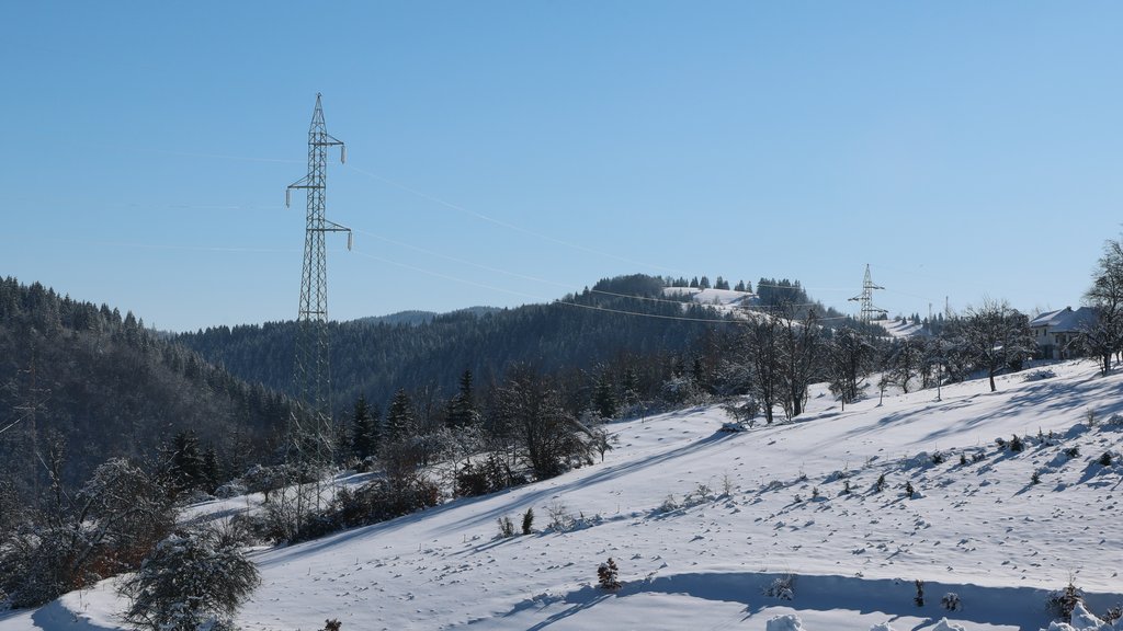Prvi sneg u Srbiji: Kada i gde se očekuje zahlađenje prema RHMZ
