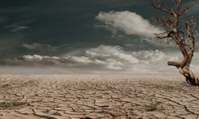 Klimatske promene guraju Zemlju preko granica izdržljivosti – klimatske promene Zemlja
