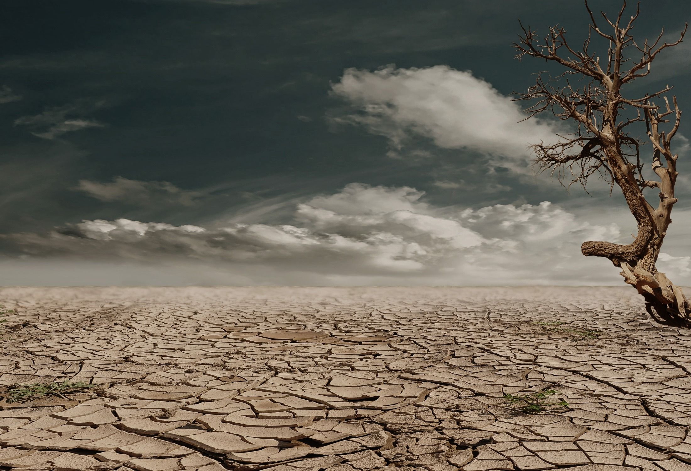 Klimatske promene guraju Zemlju preko granica izdržljivosti – klimatske promene Zemlja