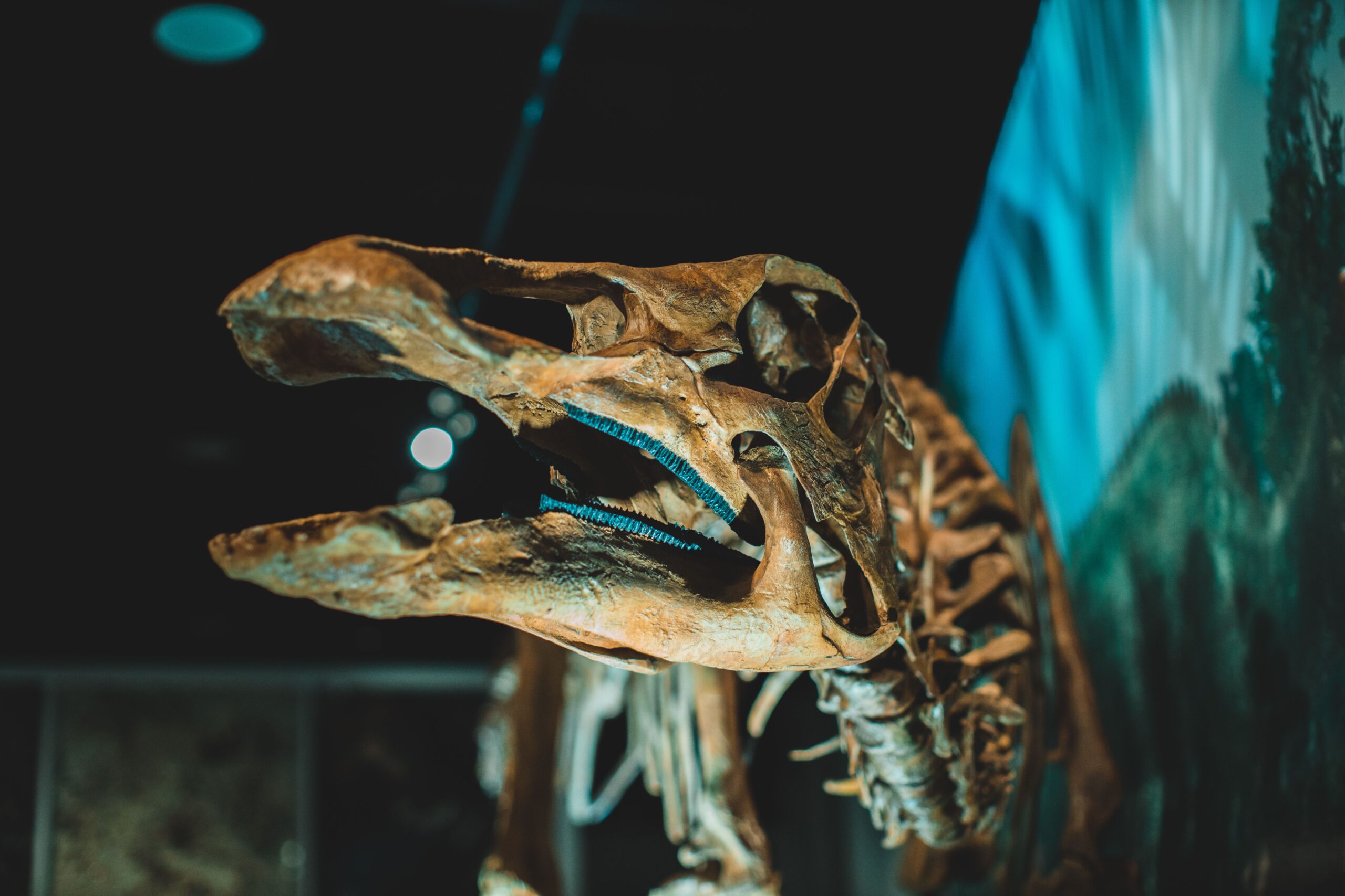 Otkrivena nova vrsta dinosaura, rođak T. rexa koji bi nas jurio