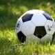 Universitatea Craiova dočekuje Getafe: Kako je lav postao simbol opstanka rumunskog kluba – Universitatea Craiova Getafe Liga konferencija