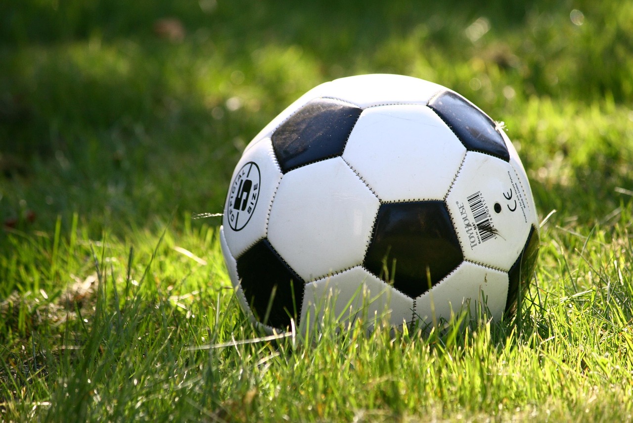 Universitatea Craiova dočekuje Getafe: Kako je lav postao simbol opstanka rumunskog kluba – Universitatea Craiova Getafe Liga konferencija