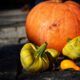 Vibrant orange pumpkin and yellow gourds on stone path, highlighting autumn harvest theme.