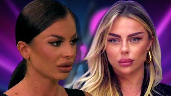SOFIJA OTKRILA DETALJE IZ PROŠLOSTI SANJE GRUJIĆ: Objavila fotografije i snimke iz kluba u Švajcarskoj (FOTO/VIDEO) – dokazi protiv Sanje Grujić