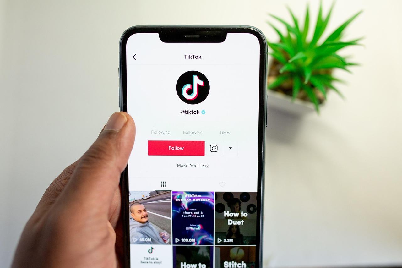 TikTok zabranio reklame za dokumentarac o Elonu Musku pre šire distribucije u SAD – zabrana reklama za dokumentarac