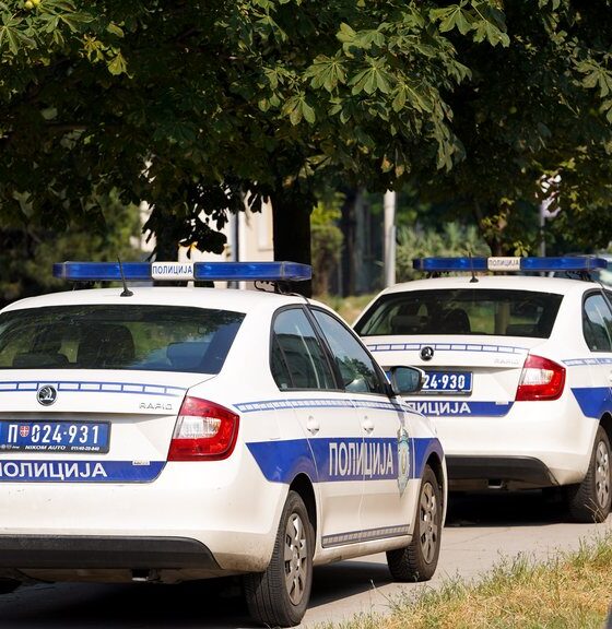 Blace: U pasatu otkriveno 8,8 kg marihuane u bunkeru, vozač uhapšen – zaplena marihuane u Blacu