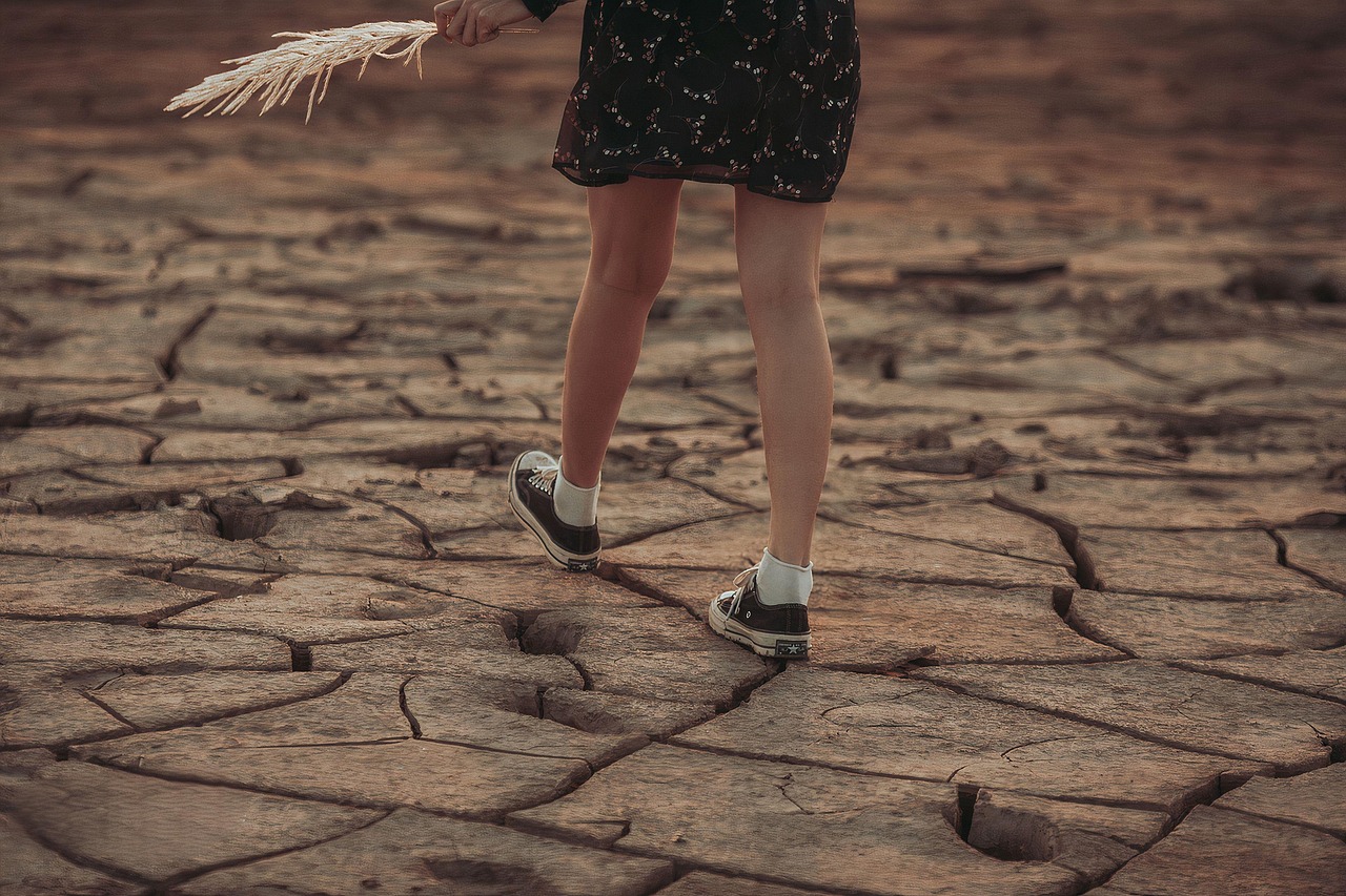 Klimatske promene utiču na rast površina pod sirkom i suncokretom u Srbiji – promena klime ratarske kulture