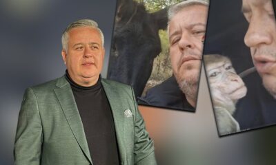 KAKO IZGLEDA ŽIVOT VAN GRADA: Nemanja Nikolić pokazao svoj mali raj daleko od reflektora (FOTO) – Nemanja Nikolić Instagram