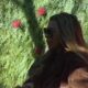 ANELI OTVORENO O NOVIM OSEĆANJIMA: Filip Car joj obećao upoznavanje porodice i zajednički život (VIDEO) – Aneli i Filip Car