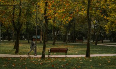 Kratka šetnja posle obroka poboljšava varenje i energiju žena