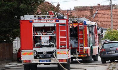 Požar kod Mladenovca umalo izazvao tragediju: Lešnici gorili nadomak rezervoara sa naftom